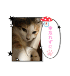 ニーとチョビ（個別スタンプ：36）
