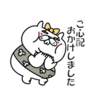 ぶたねこ5【無難に使える敬語/仕事もOK】（個別スタンプ：15）
