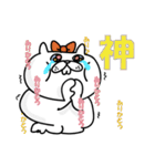 ぶたねこ5【無難に使える敬語/仕事もOK】（個別スタンプ：19）