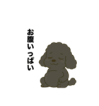 愛されてる犬達の日常（個別スタンプ：1）