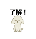 愛されてる犬達の日常（個別スタンプ：8）