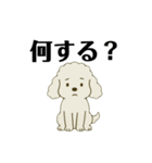 愛されてる犬達の日常（個別スタンプ：10）