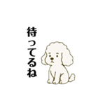 愛されてる犬達の日常（個別スタンプ：11）