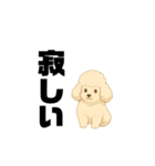 愛されてる犬達の日常（個別スタンプ：12）