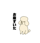 愛されてる犬達の日常（個別スタンプ：13）