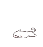 ネコさんはとてもゆるい。文字なし（個別スタンプ：8）