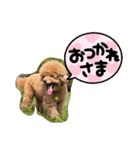 ぎんどんLIFE（個別スタンプ：2）