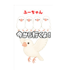 可愛い白文鳥ふーちゃんスタンプ（個別スタンプ：1）