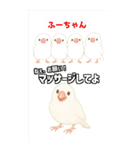 可愛い白文鳥ふーちゃんスタンプ（個別スタンプ：3）