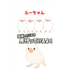 可愛い白文鳥ふーちゃんスタンプ（個別スタンプ：4）