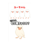 可愛い白文鳥ふーちゃんスタンプ（個別スタンプ：5）