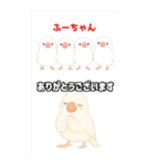 可愛い白文鳥ふーちゃんスタンプ（個別スタンプ：7）