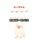 可愛い白文鳥ふーちゃんスタンプ（個別スタンプ：8）