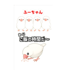 可愛い白文鳥ふーちゃんスタンプ（個別スタンプ：10）