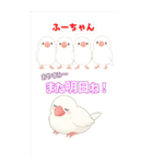 可愛い白文鳥ふーちゃんスタンプ（個別スタンプ：11）