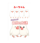 可愛い白文鳥ふーちゃんスタンプ（個別スタンプ：12）