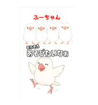 可愛い白文鳥ふーちゃんスタンプ（個別スタンプ：13）
