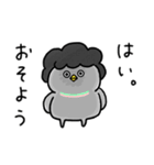 毒舌な鳩かあちゃん_圧力高めな家族連絡（個別スタンプ：4）