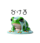 3Dリアルなカエル！ケロケロ～（個別スタンプ：38）