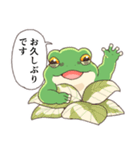 ずっと使える敬語スタンプ カエル（個別スタンプ：32）