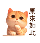 ぽっちゃりちび橘猫2（台湾）（個別スタンプ：13）