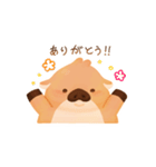 うり坊ちゃん 【にほんご】（個別スタンプ：1）