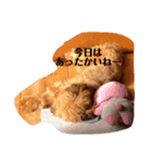 モカスタンプ20250421（個別スタンプ：8）