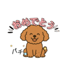 トイプー！012025（個別スタンプ：5）