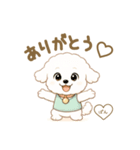 ビションフリーゼのぱんちゃん（個別スタンプ：3）