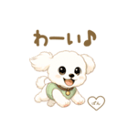 ビションフリーゼのぱんちゃん（個別スタンプ：4）
