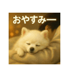 白ポメ映画風スタンプ（個別スタンプ：3）