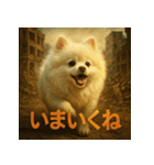 白ポメ映画風スタンプ（個別スタンプ：5）