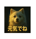 白ポメ映画風スタンプ（個別スタンプ：12）