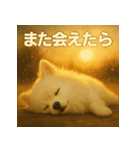 白ポメ映画風スタンプ（個別スタンプ：14）