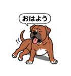ピットブルのロイとティト（個別スタンプ：2）