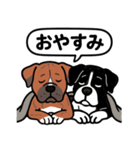 ピットブルのロイとティト（個別スタンプ：5）