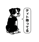ピットブルのロイとティト（個別スタンプ：7）