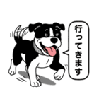 ピットブルのロイとティト（個別スタンプ：8）