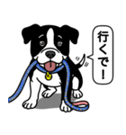 ピットブルのロイとティト（個別スタンプ：10）