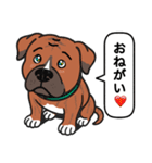 ピットブルのロイとティト（個別スタンプ：12）