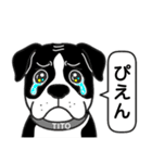 ピットブルのロイとティト（個別スタンプ：17）