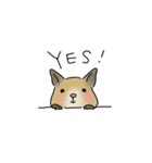 可愛いデグーの1日part2（サンドデグー）（個別スタンプ：15）