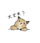 可愛いデグーの1日part2（サンドデグー）（個別スタンプ：17）