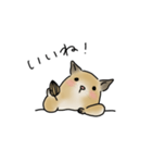 可愛いデグーの1日part2（サンドデグー）（個別スタンプ：18）