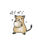 可愛いデグーの1日part2（サンドデグー）（個別スタンプ：24）