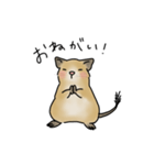 可愛いデグーの1日part2（サンドデグー）（個別スタンプ：29）