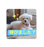 といぷーどる、、、（個別スタンプ：2）