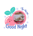 といぷーどる、、、（個別スタンプ：3）