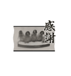 リアルな動く動物スタンプ（個別スタンプ：7）