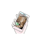 ニャンズの相棒1（個別スタンプ：1）
